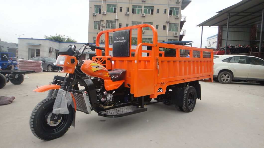 Hot Selling for Three Wheeled Motorcycle for Open Cargo Electric Rickshaw Passenger