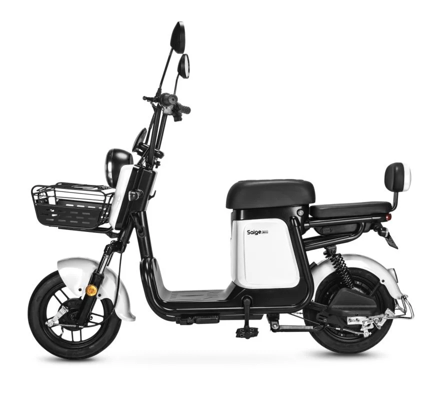 2023 Hot Selling Chinese Electric Bike, Adults Electric Scooter