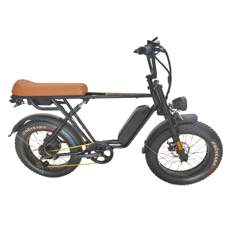 Popular New High-Quality 20 New Fat Tire Electric Bike