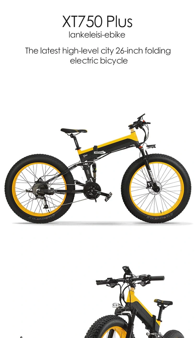 Cheap Electric Bike E Cycle with Rechargeable Battery Optional