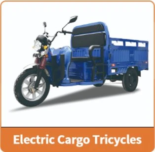 OEM 1300mm Factory Wholesale Three Wheel Trike 60V100W Cargo Electric Tricycle for Farm Deliver with EEC CE