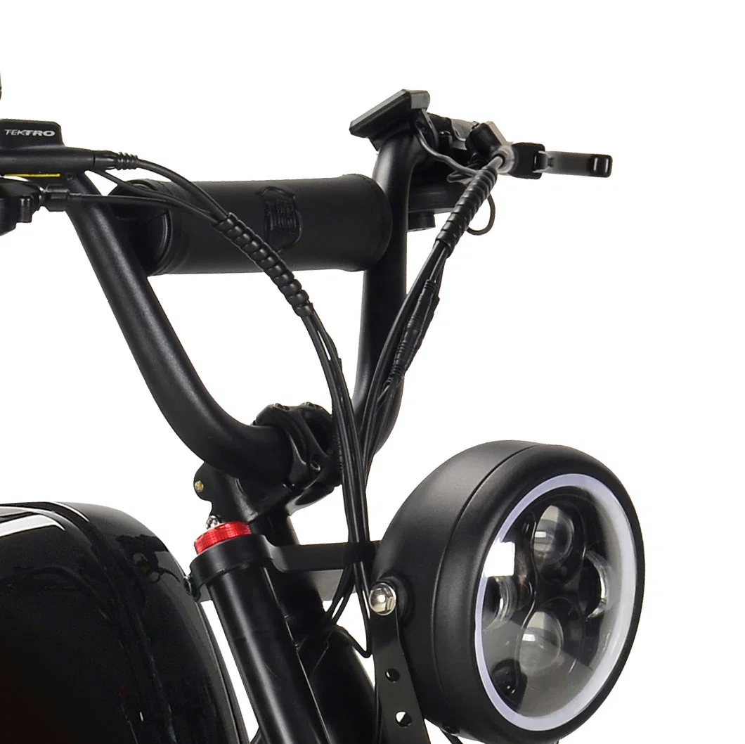 MTB Electric Bike motorcycle Pedalec Bike Motorized 750W 48V Dual Battery Ebike