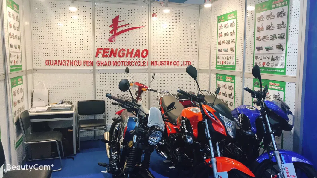 Feng Hao Cg Electric Motorcycles Adult Motorcycle Electrical Bikes