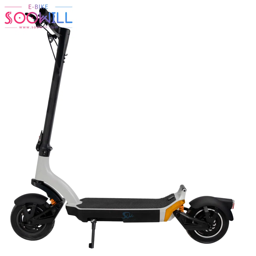 25km/H Road City Bike 10&quot; Electric Motor 48V 13.5ah (Chinese Lithium Battery/4500mAh) Escootor