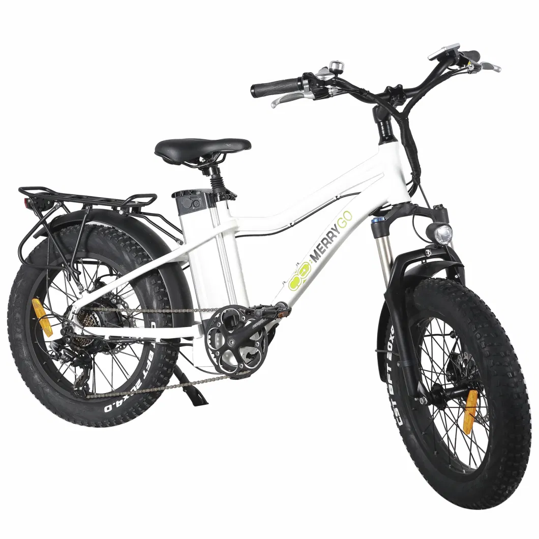 Ladies Electric Bicycle with Lithium Battery Power Bike Dropship in European