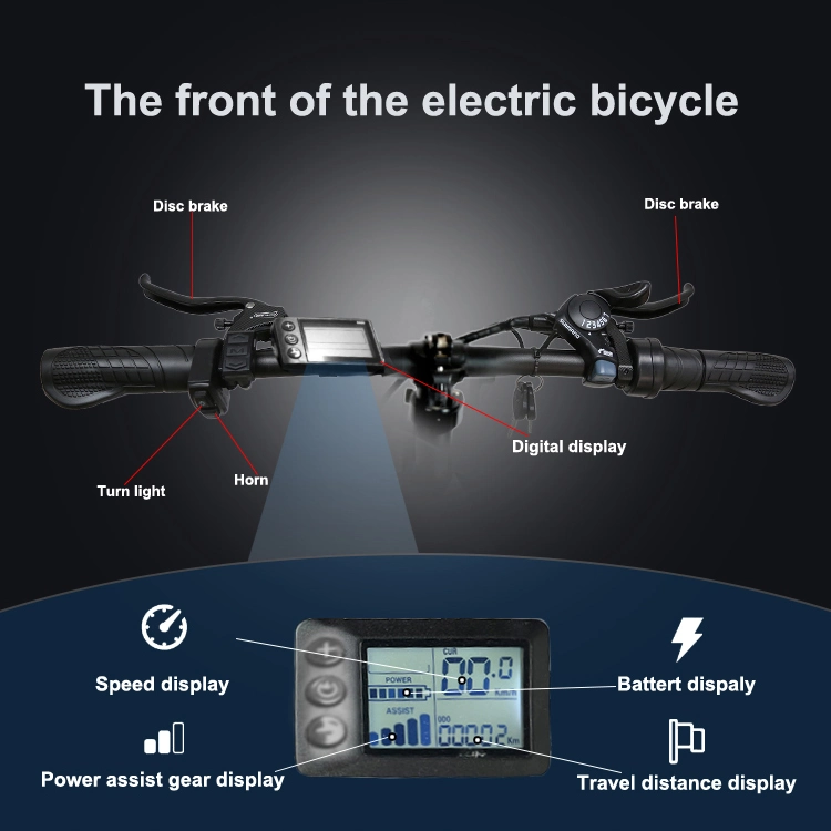 48V 26 Inch Men Electric Bike Road Bicycle Fat Electric City Bike Adults