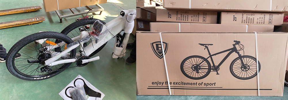 Electric Bicycle Conversion Kit China/Electric Bicycle Chinese Tianjin/Emtb