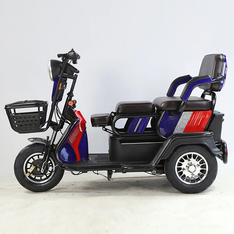 2021 EEC 3 Wheel Passenger Cargo Tricycle Two Seat Electric Scooter Bicycle 48V for Adults and Old People