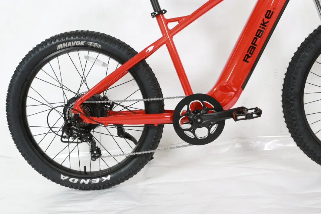 Fat Tire Rear Drive 750W Mountain Ebike in Stock