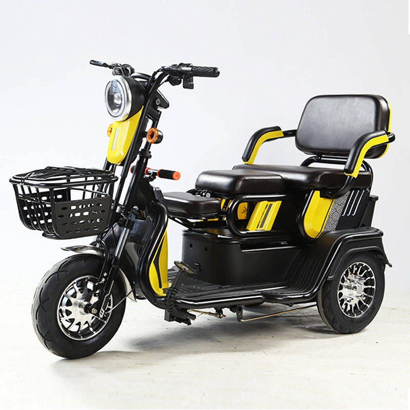 2021 EEC 3 Wheel Passenger Cargo Tricycle Two Seat Electric Scooter Bicycle 48V for Adults and Old People