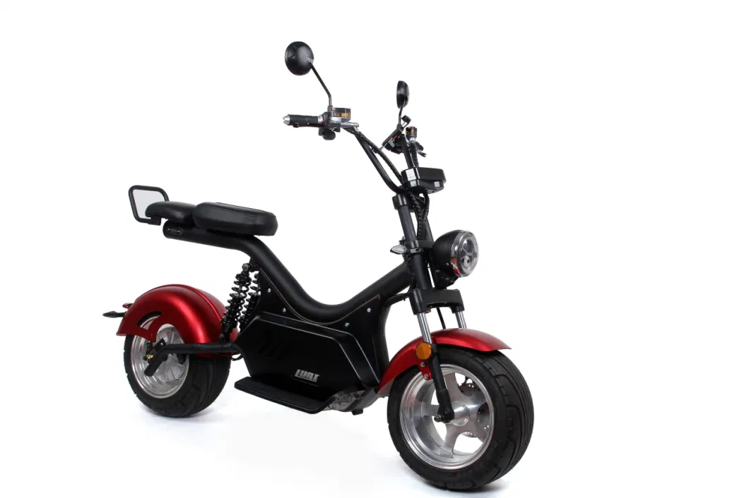 2023 Portable Electric Kick Motorbike with 2000W Brushless Motor