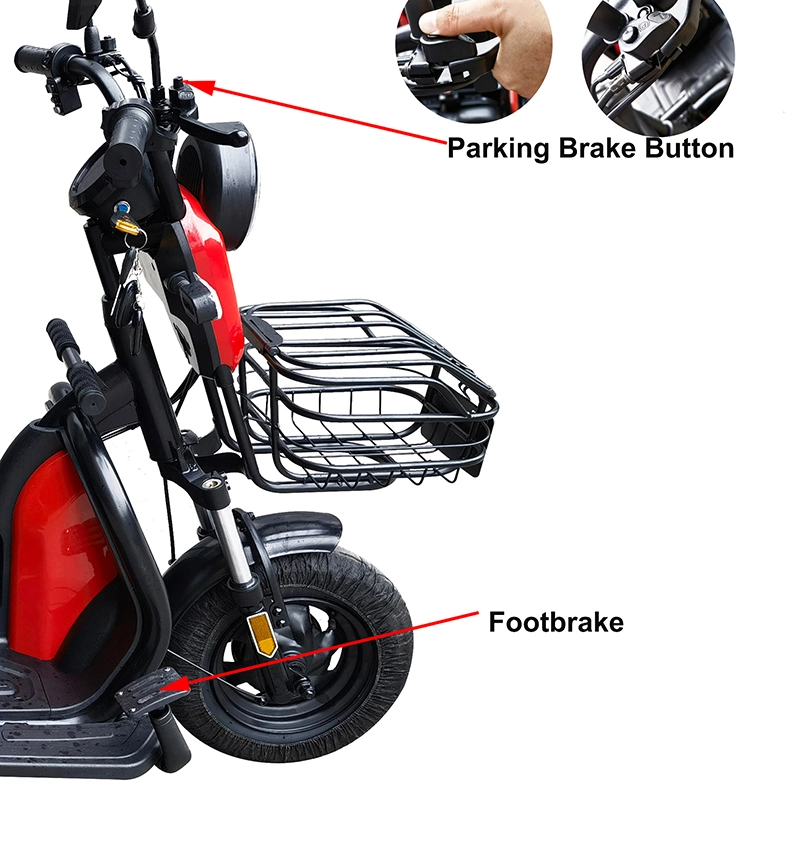 Eco 3 Wheel Ebike Electric Tricycle with 500W Motor