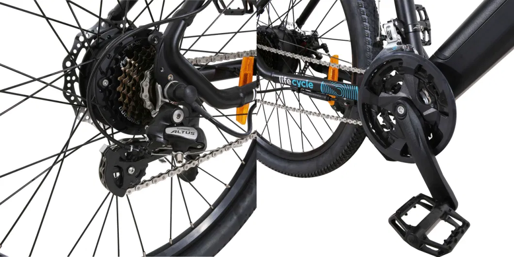 Best Seller Electric Mountain Bike Hard Tail MTB Cruiser with TUV