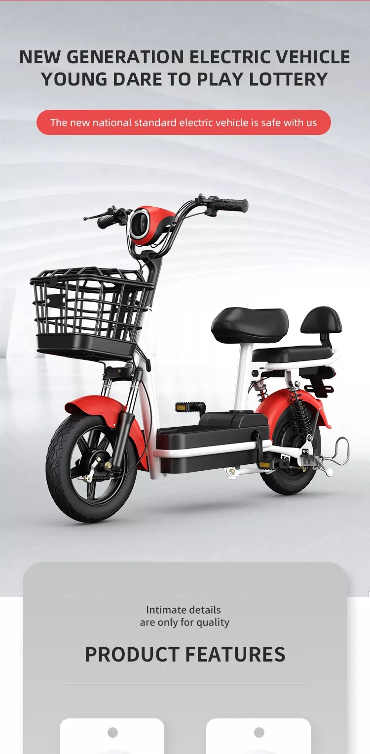 Manufacturer Direct Selling Electric Bicycle 48V 350W / Shockproof Electric Bicycle with Pedal