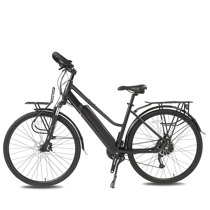 36V250W Motor Electric Bicycle Powerful Electric City Bike