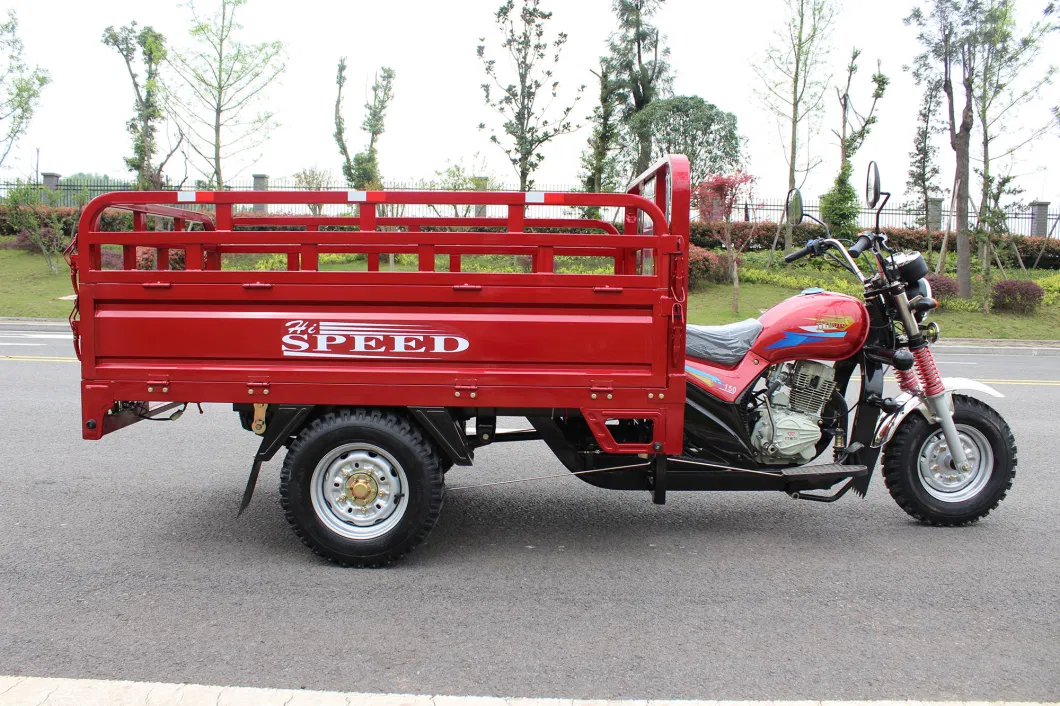 Chinese Cheap Electric Tuktuk Threewheel Motorcycle Taxi Cargo/Gasoline Tricycle Auto/Rickshaw/Dirt Bike Bajaj