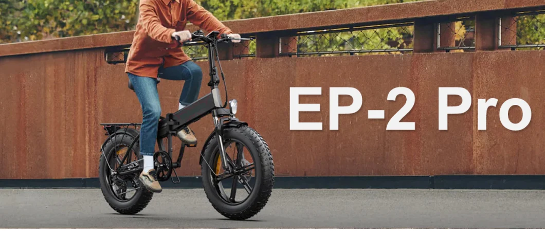 48V13A 42km/H Electric Bicycle 20inch Fat Tire 750W Mountain Electric Bike