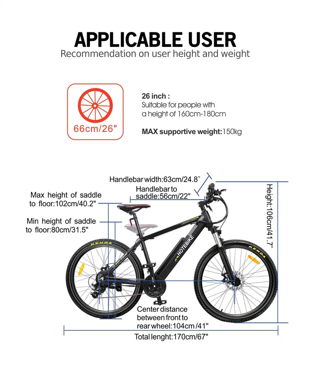 36V/48V 250W/350W/500W/750W High Power Mountain Electric Bike