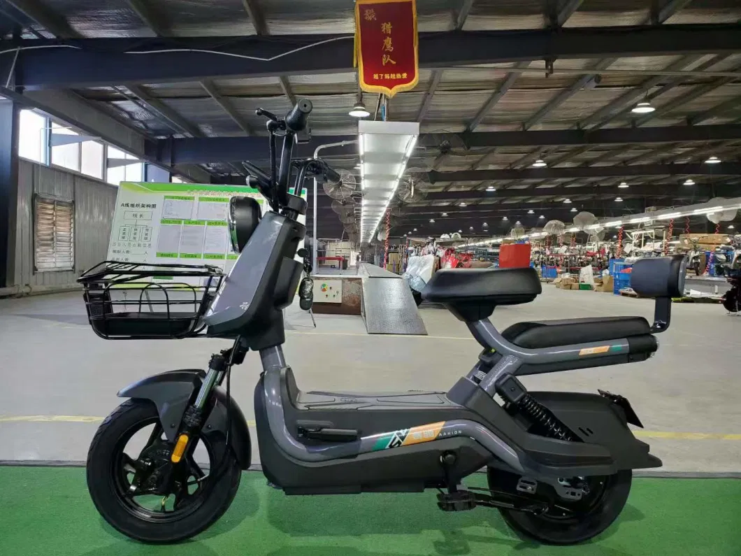 Saige 500W 48V 12ah 35km/H Electric Scooter for Adult
