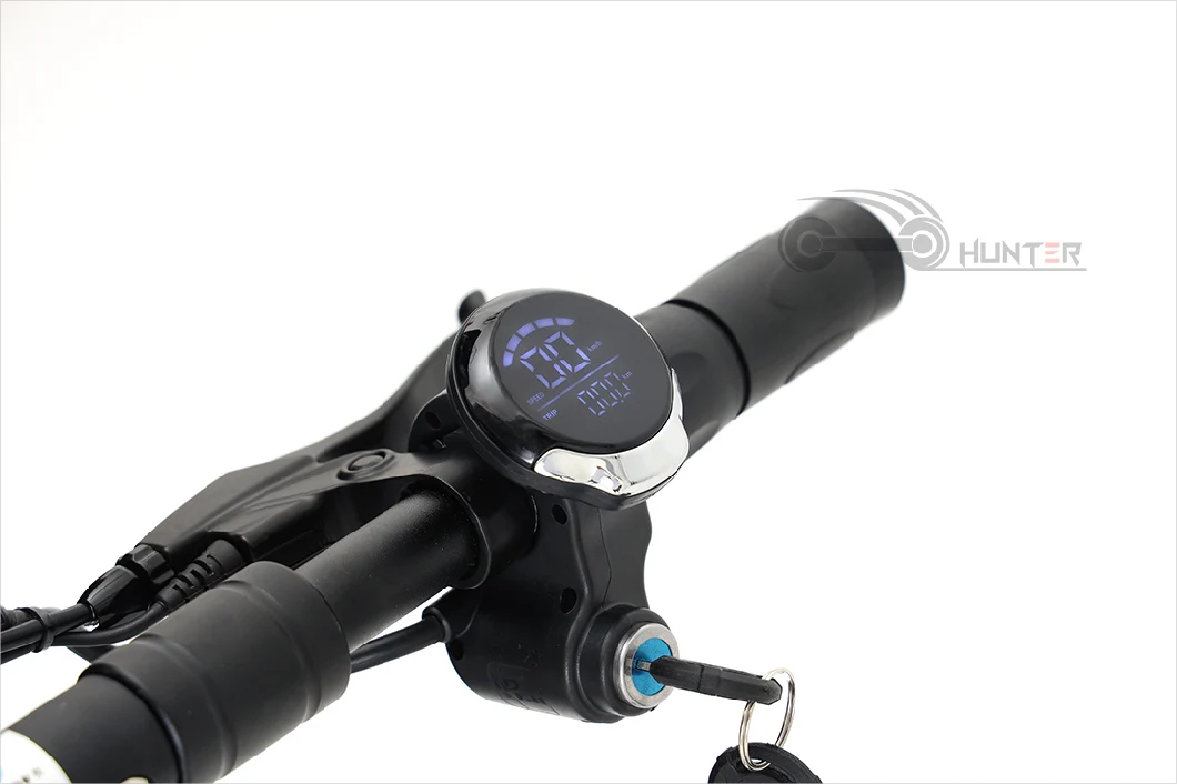 China Factory Customized Cruise Control Electric Scooter