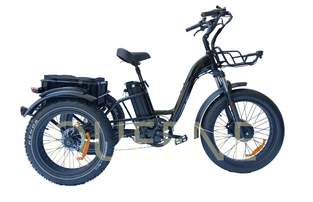 Queene Adults 3 Wheels 48V 500W 750W Electric Bicycle Tricycle 30mph Electric Scooters Bike with Fat Tyre 3 Wheels