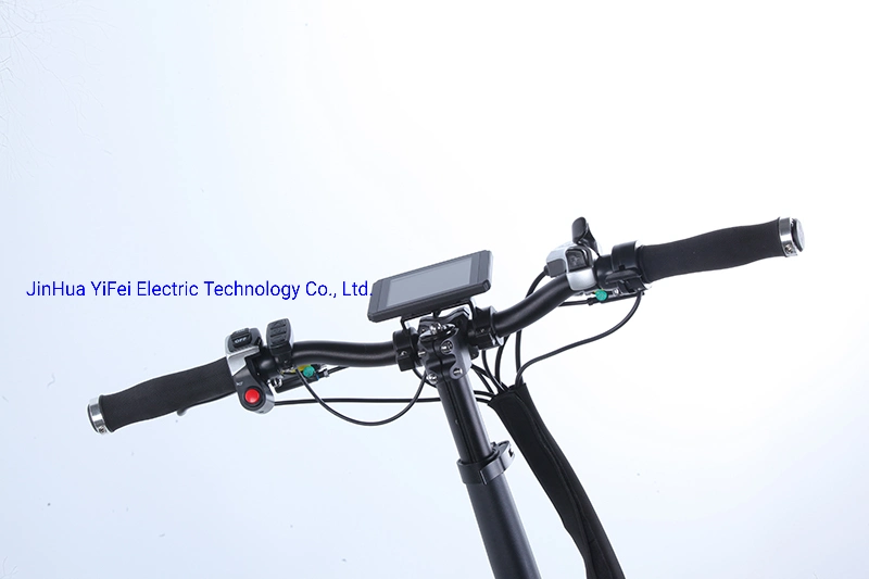 China E-Bike Factory Electric Bike 20&quot; Lady Mountain Bicycle Brushless Motor off Road Electric Ebike