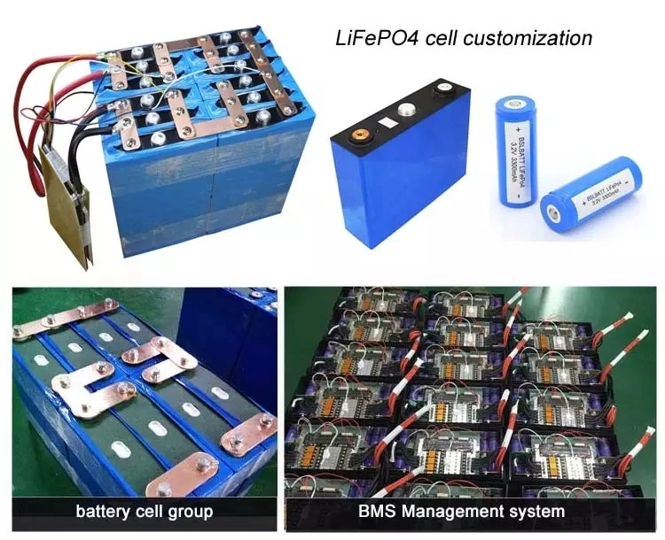 12V 120ah Ion Lithium Electric Bicycle Battery with Charger