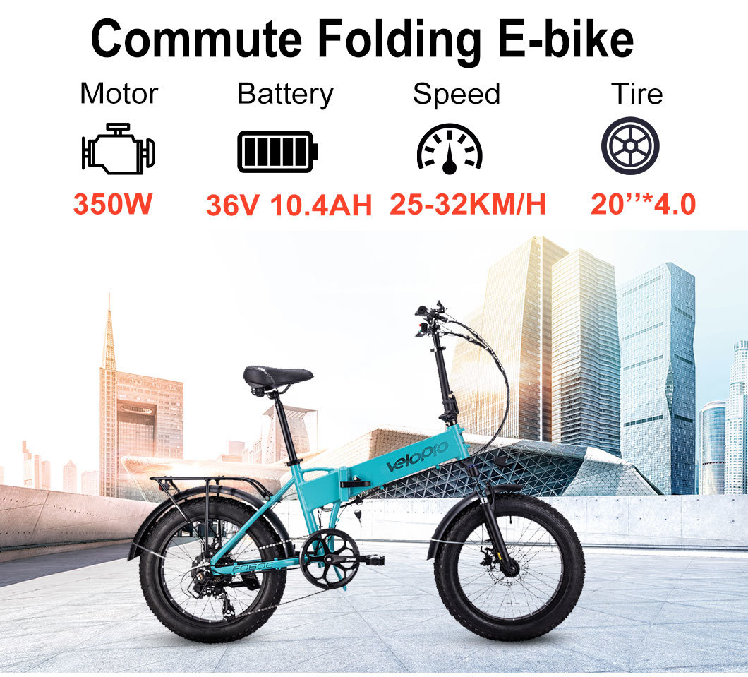 Affordable Folding Bike 20 Inch Portable Electric Bicycle for Adult