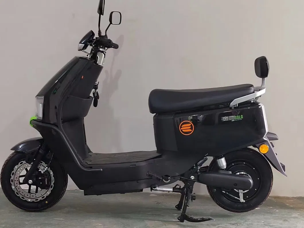 Saige 45km/H High Speed 2 Wheel Electric Motorcycle Scooter for Adult Tesla