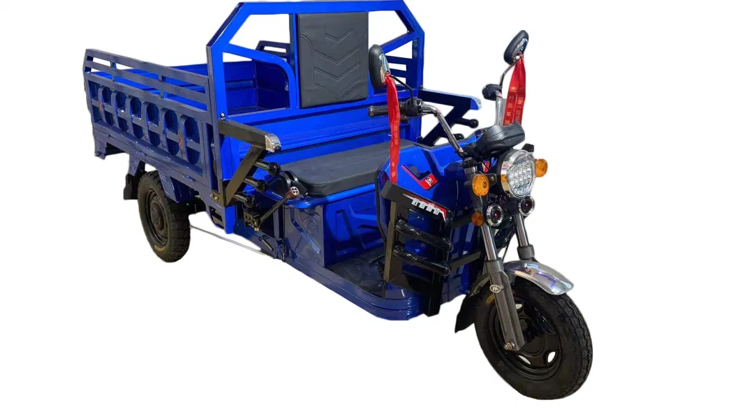 SKD Package 60V1500W Motor Electric Motorcycle Cargo Tricycle with Cabin