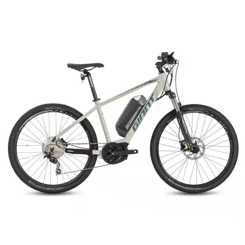 Super Light Electric Moped Electric Bike Folding Mountain Bike