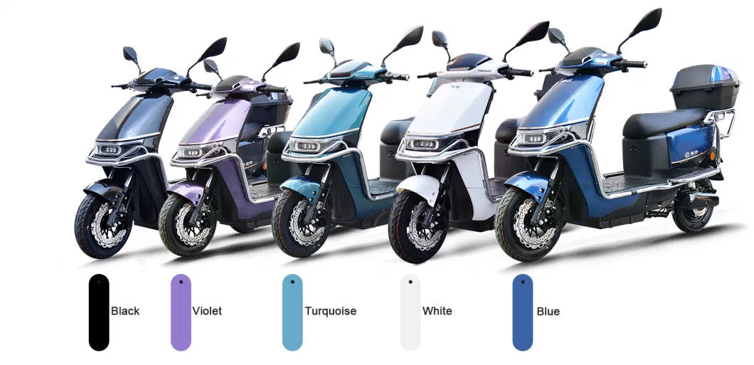 Manufactory Direct 2 Seat Scooter Mini 2 Wheel New Energy Vehicles Electric Bike Supplier 800W Brush-Less DC Motor Electric Motorcycle