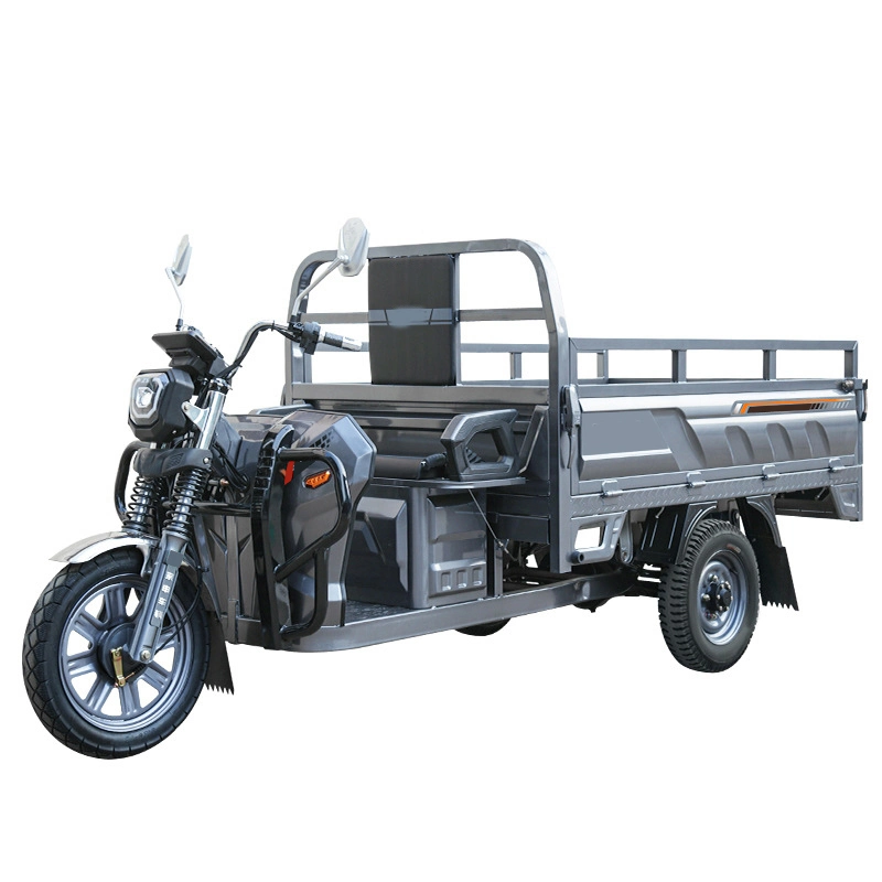 Electric Cargo Tricycle Factory Hot Selling 3 Wheel Electric Trike for Cargo