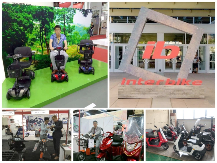 Hot Selling E-Scooter, Electric Bicycle, 2 Wheel Mobility Scooter (ES-008)