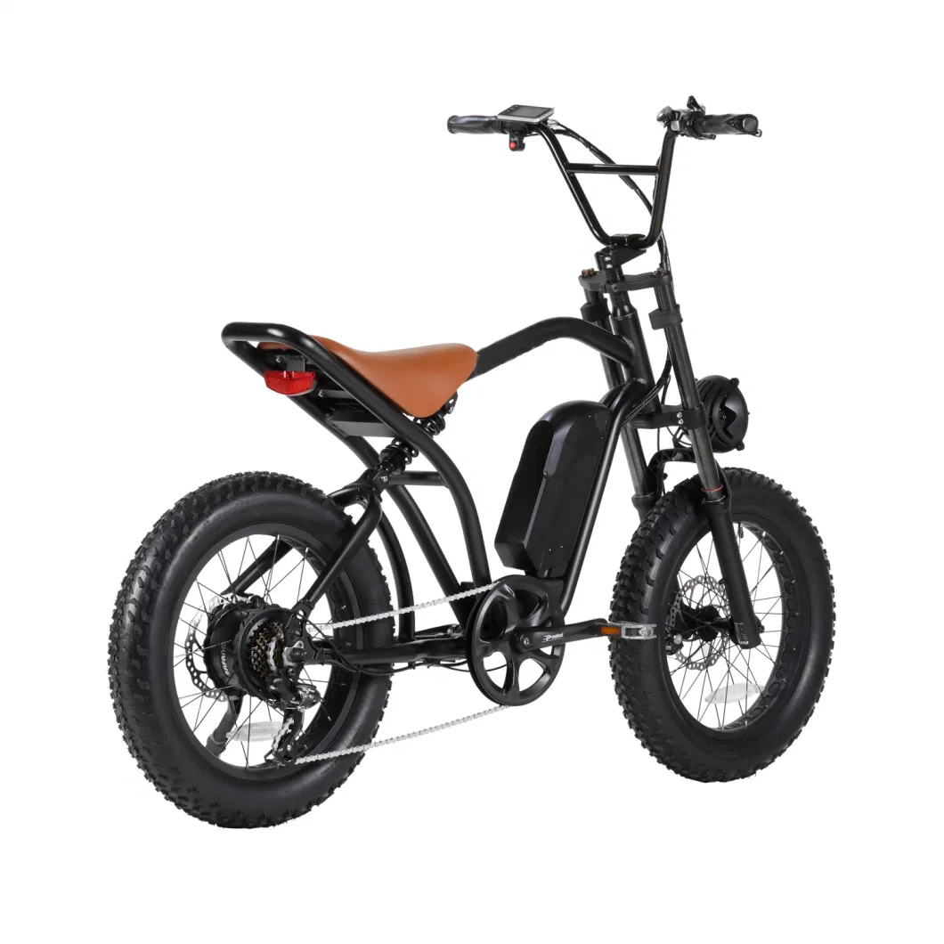 48V Electric Bicycle Ebike 500W Electric Motorcycles for Adults