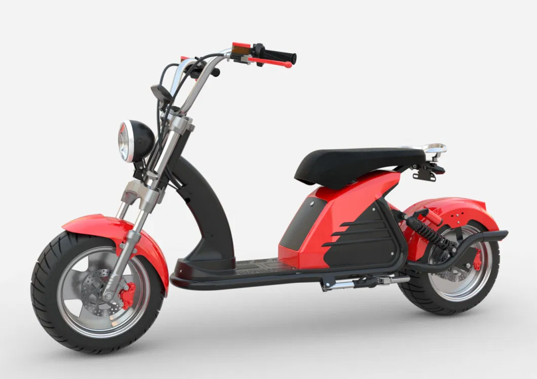 2000W/3000W 10inch/12inch Electric Citycoco Adult New Electric Scooter Motorcycle EEC