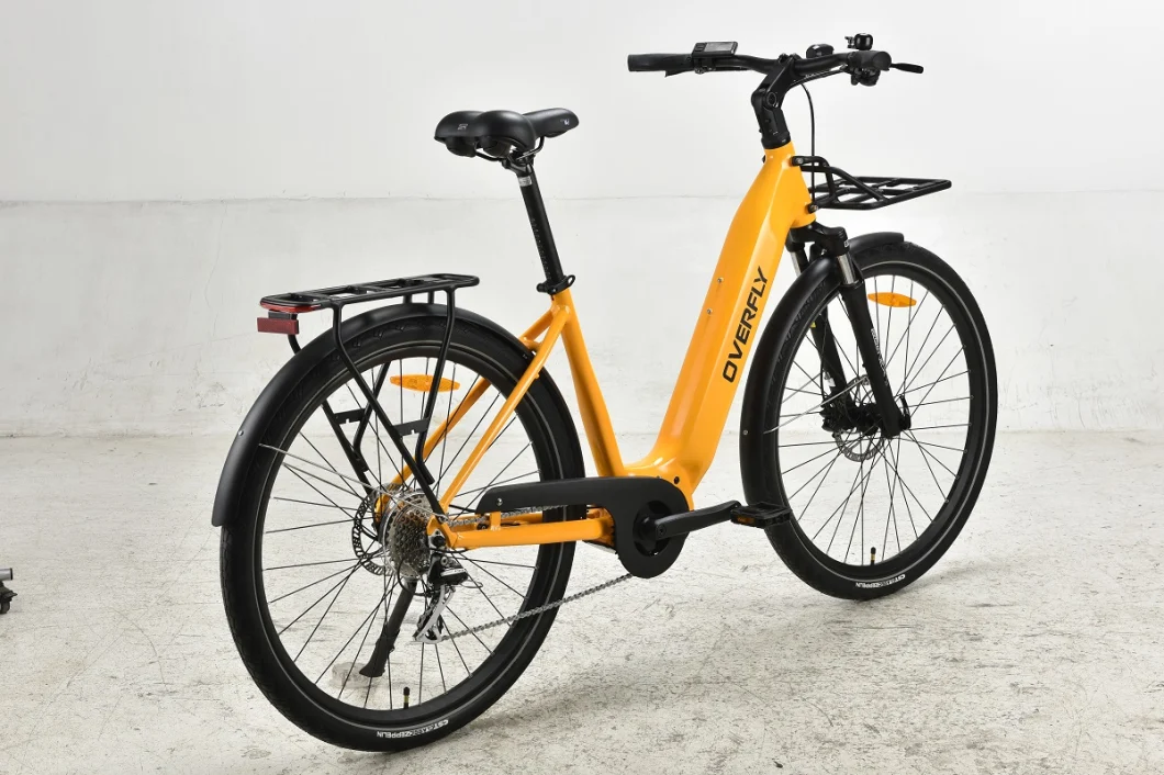 36V 250W MID Motor Electric Bike Stylish Lady City Bike