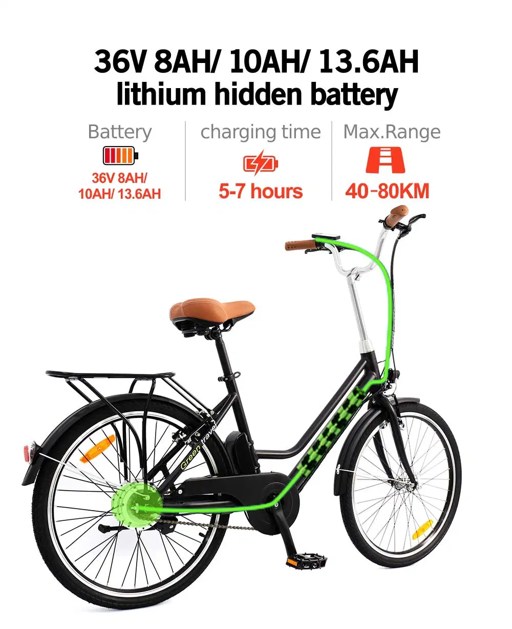 42V 2A Unfolded Shuagnye or Hotebike OEM Electric Cycle Bike