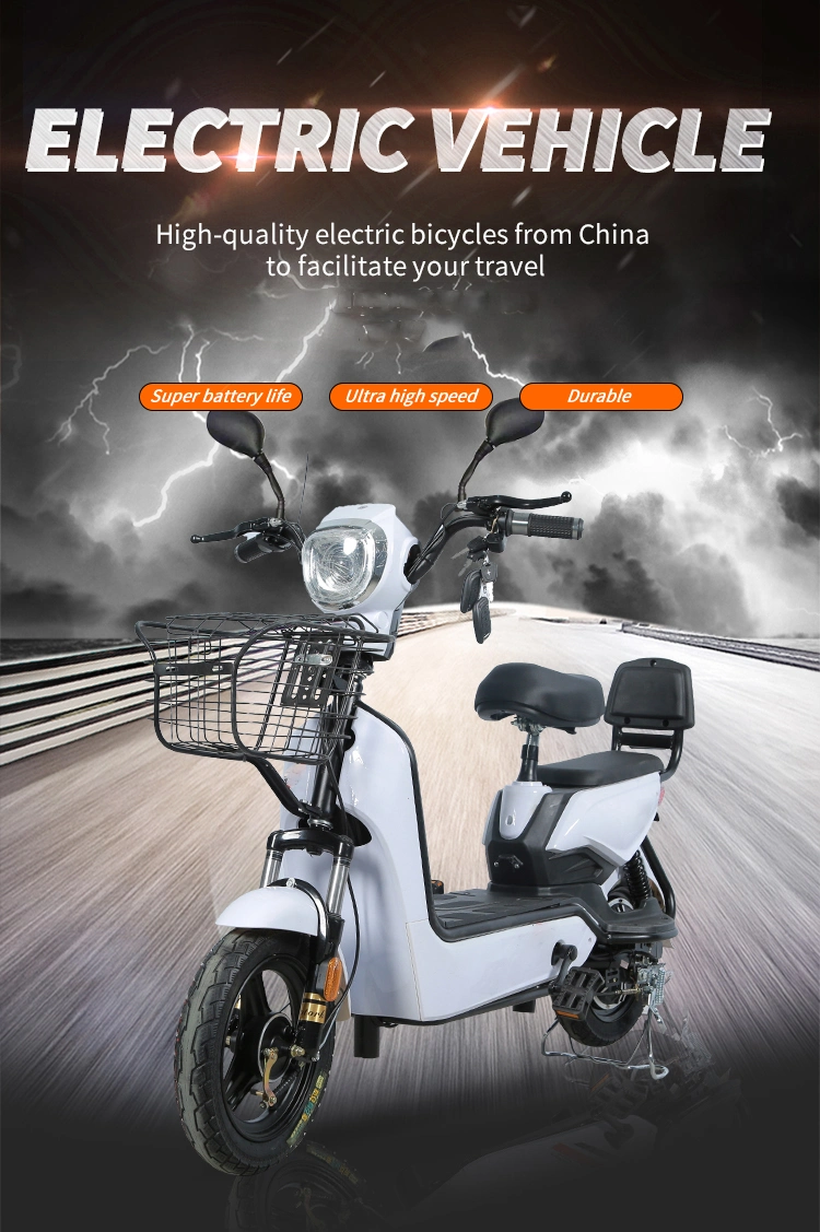 Tjhm-007QQ Factory Direct Electric Bicycle Lead Acid Battery Electric City Bike 2 Pedals Electric Scooter E Bike