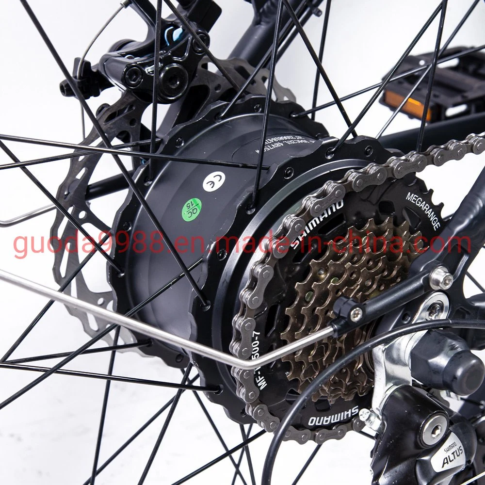 Electric Bike 48V 750W Mountain Bicycle Ebike with Fat Tire