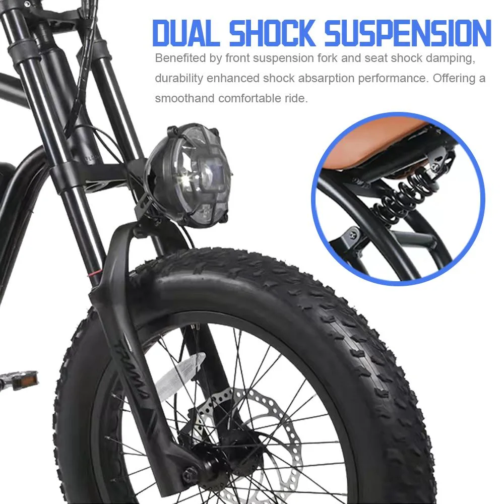 Professional Factory Electric Bicycle with Full Suspension