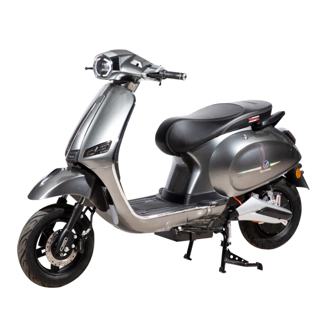 1000W-27h Motor Power Two-Wheel Electric Scooter/Electric Motorcycle/Electric Motorcycle Bike (TSL-3)
