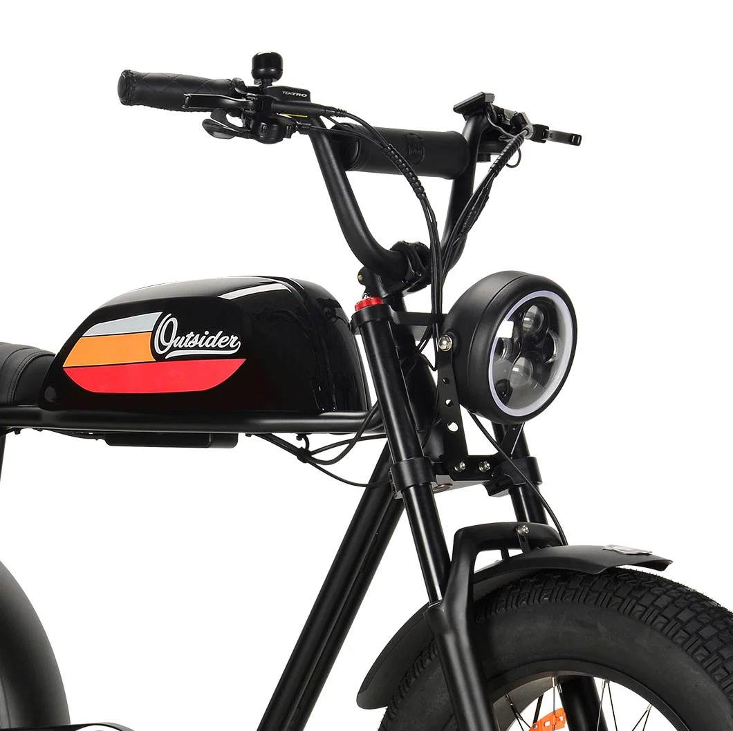 Bicimoto Electrica Bicicleta Con Pedaleo Asistido 750W Enduro Cruiser MTB Ebike
