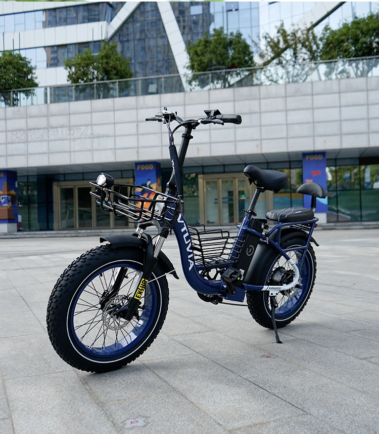 Vtuvia New Design Cargo Electric Bike 750W Rear Motor Delivery Ebike