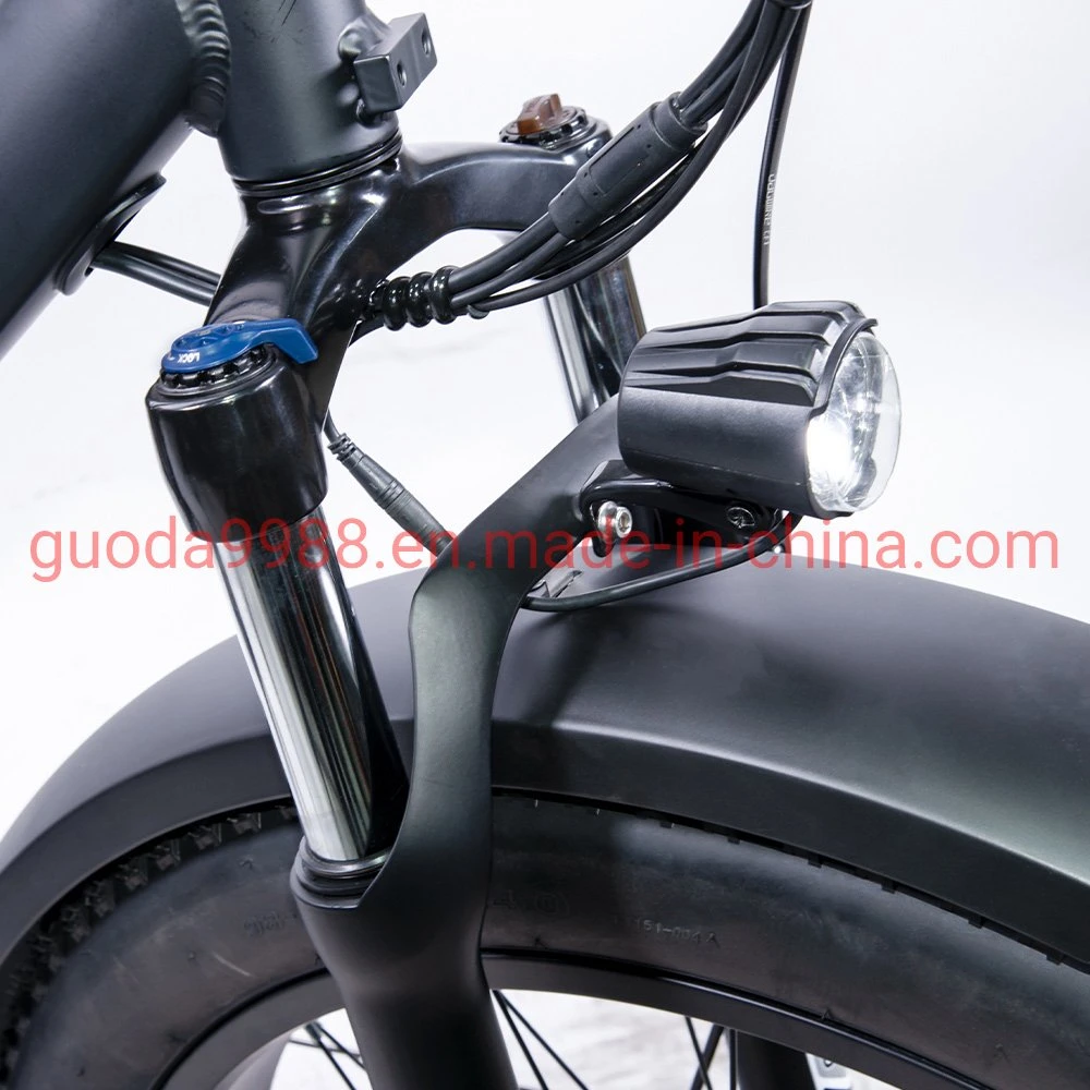 Electric Bike 48V 750W Mountain Bicycle Ebike with Fat Tire