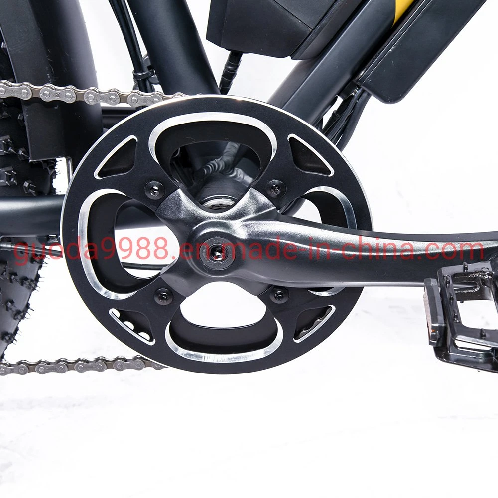 Electric Bike 48V 750W Mountain Bicycle Ebike with Fat Tire