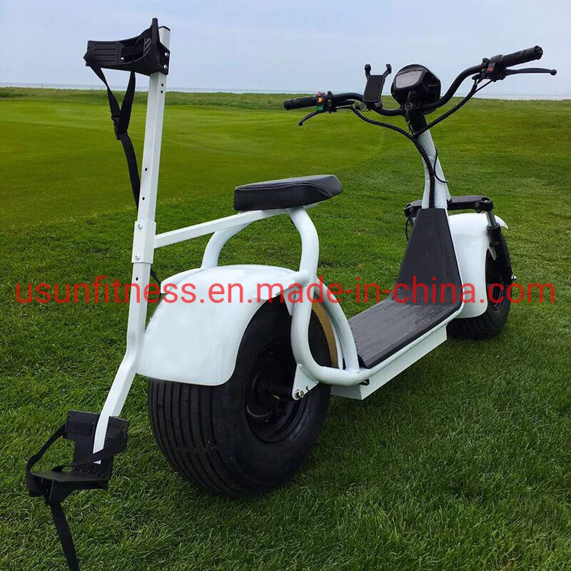 3 Wheels Electric Tricycle Golf Scooter Promotion Hot Sale Luxury 2 Seater Electric Club Car Golf Carts Scooter Motorcycle Bikes for Golf Club