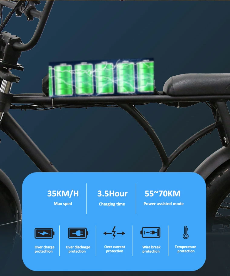 20*4.0 14ah Gravity Shengzhen, China Electric Fat Bicycle E Bike