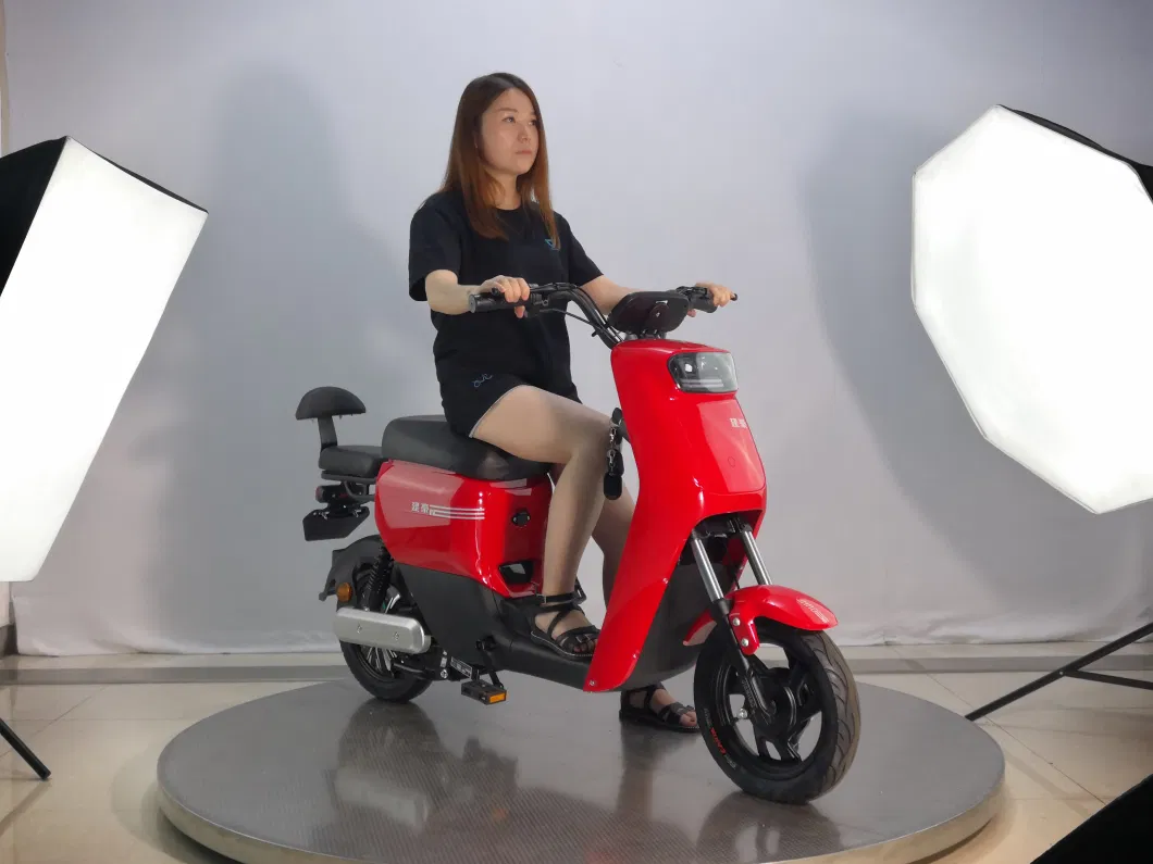 Vimode 2020 Chinese Cool Vintage White Ebike 1000W Lithium Premium Electric Moped Scooter