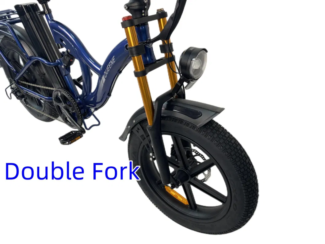 Stylish E Bike Fat Tyre Electric Bicycle Low Step Thru Electric Bike for Women